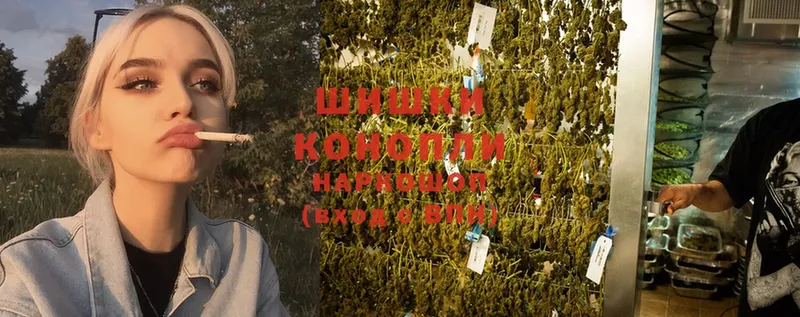 Бошки Шишки LSD WEED  купить наркоту  Покров 